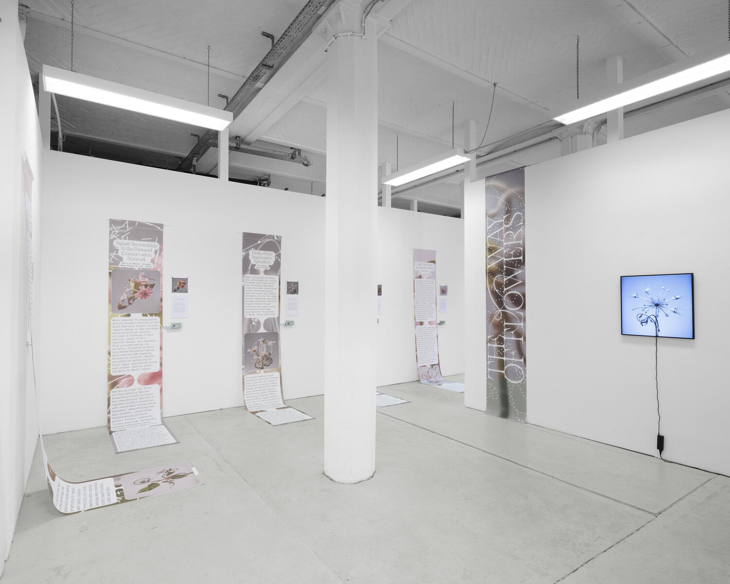 Exhibition view, CROSSLUCID, The Way of Flowers, 2025