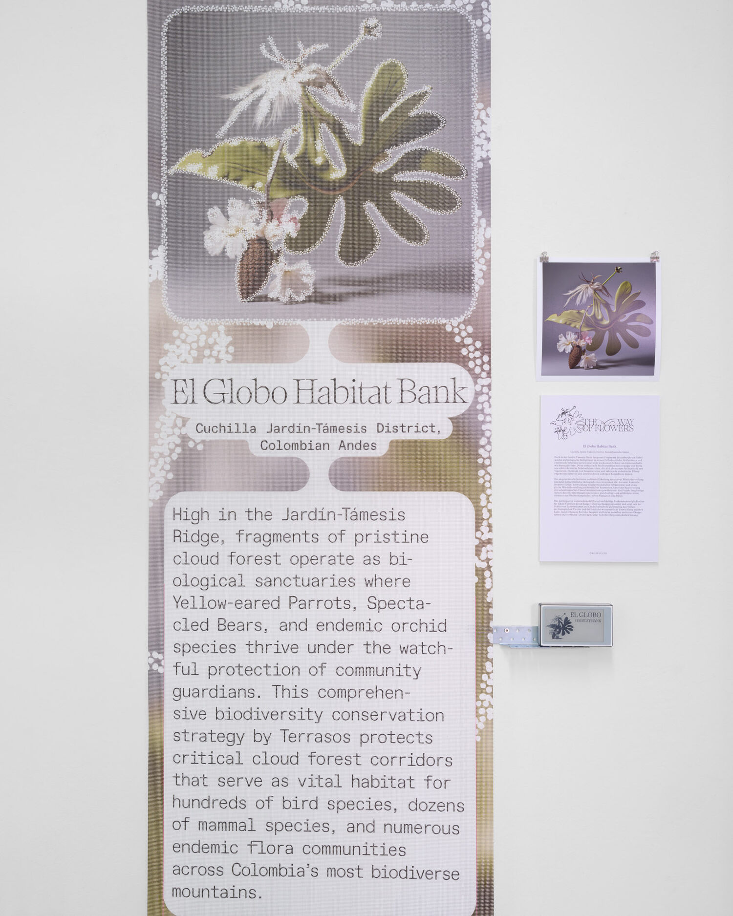 Exhibition view, CROSSLUCID, The Way of Flowers, 2025