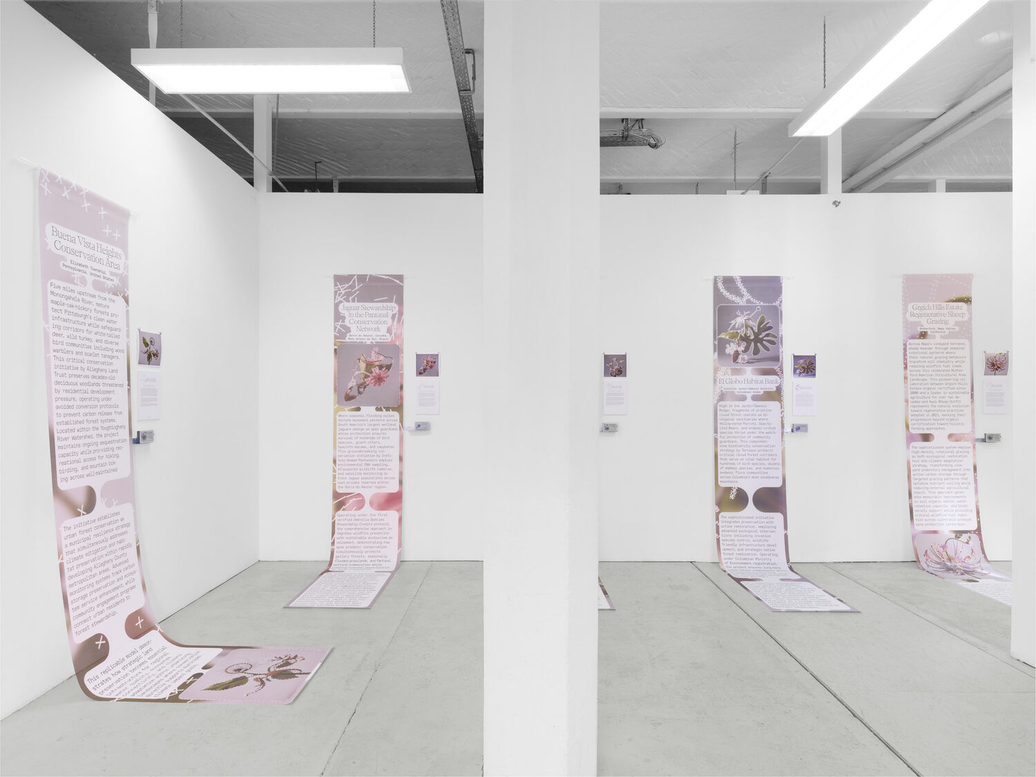 Exhibition view, CROSSLUCID, The Way of Flowers, 2025