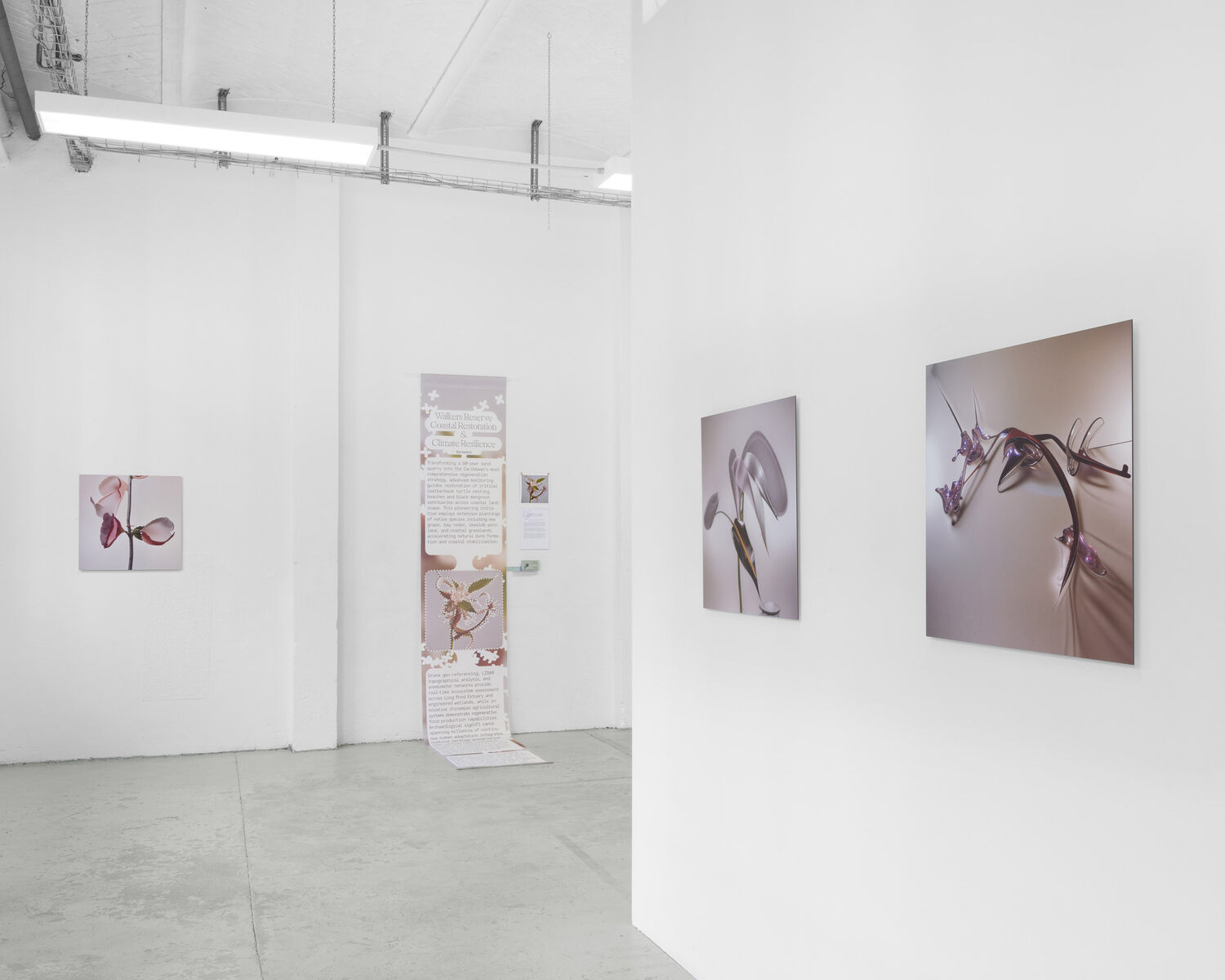 Exhibition view, CROSSLUCID, The Way of Flowers, 2025