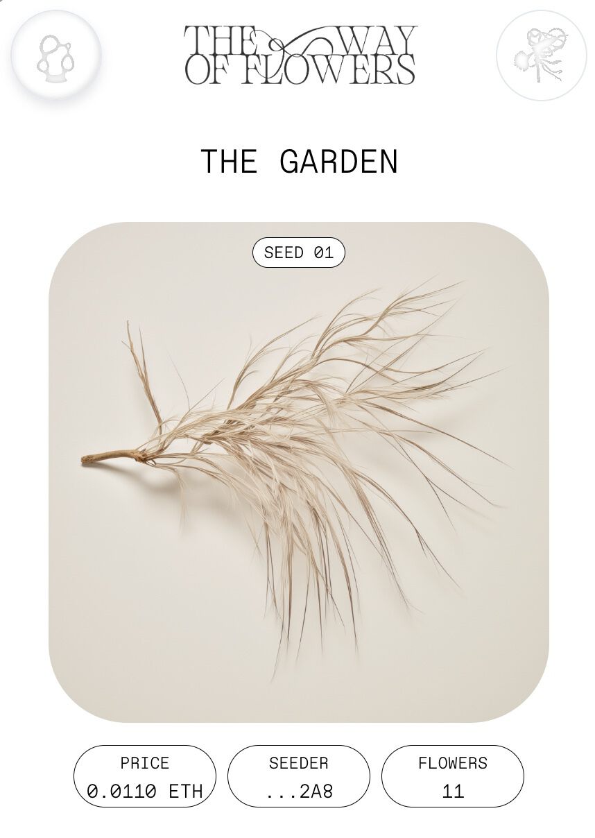 DApp The Way of Flowers