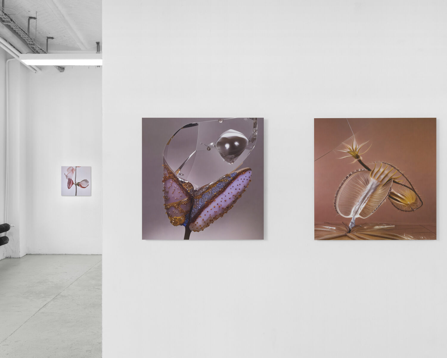 Exhibition view, CROSSLUCID, The Way of Flowers, 2025