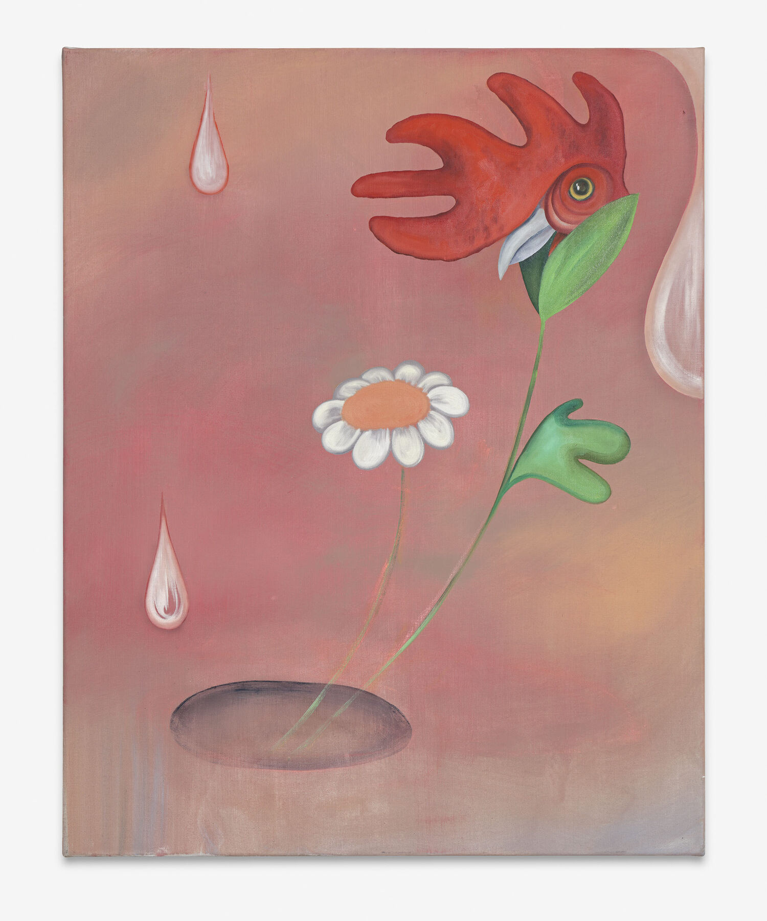 Jagoda Bednarsky Flower Power Cock (Rabbit Hole), 2022