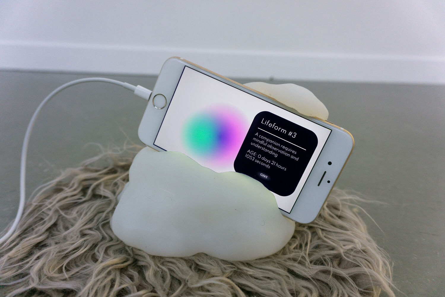 Sarah Friend, Lifeforms, 2021